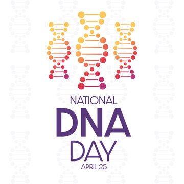 National DNA Day. April 25. Vector illustration. Holiday poster.