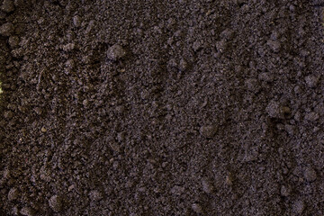 Texture of black earth ground with sand for planting