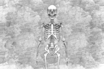 Drawing a human skeleton with a pencil on the background of hatching - obrazy, fototapety, plakaty