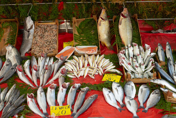 Editorial use only: editorial. Istanbul-Turkey-19.03.2022: fish sales points in istanbul