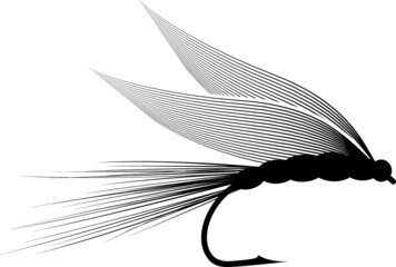 dry fly  - 493627308