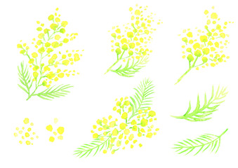 Fototapeta na wymiar 水彩で描いたミモザの花のイラストセット