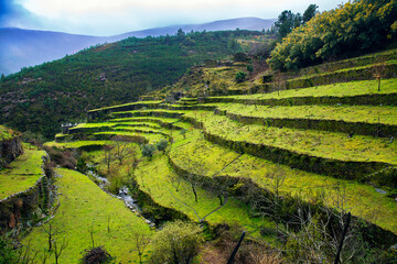 Agricultural Terraces and Grazing Fields Near Foz d'Egua, Piodao, Portugal