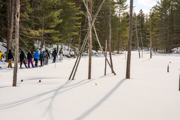 A group of snow shoers make their way along the edge of a snow covered beaver pond in the boreal forest of Eastern Ontario, Canada.  Shot in March. © Michael Connor Photo
