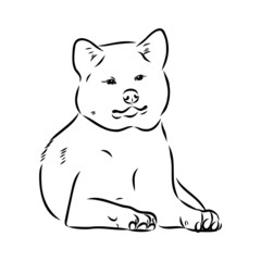 Akita dog face - isolated vector illustration akita inu dog vector