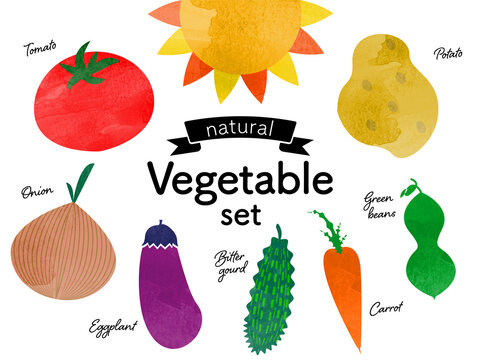 太陽とナチュラルな野菜/ベクターイラストセット