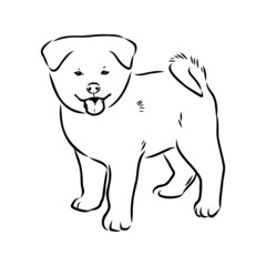 Akita dog face - isolated vector illustration akita inu dog vector