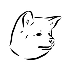 Akita dog face - isolated vector illustration akita inu dog vector