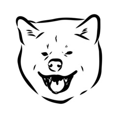 Akita dog face - isolated vector illustration akita inu dog vector