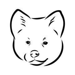 Akita dog face - isolated vector illustration akita inu dog vector