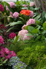 flower display at a botanical garden