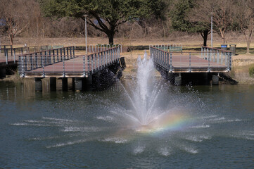 a rainbow being created by a fountain