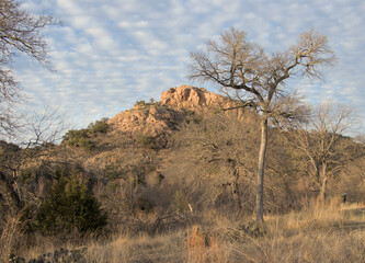 an outcropping of pink granite framed by barren trees