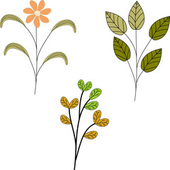 Colored Flower Flat Illustration Vector