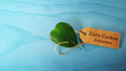 Zero Carbon Emission and ESG Concepts. Clean Energy. Close-up of Green leaf a Recycling Paper Tag....