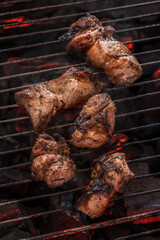 Grilled meat, chicken. Photograph of food on a dark background