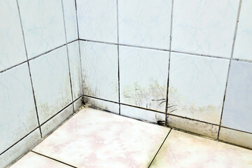 tile in corner of bathroom has dirty stains