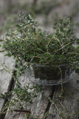 Leaf greenery rosemary. food photography, dark background