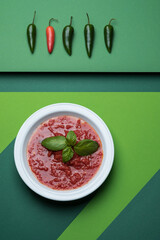 Pop art picture. Close-up photograph of tomato sauce with basil