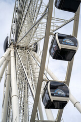 ferris wheel in the park