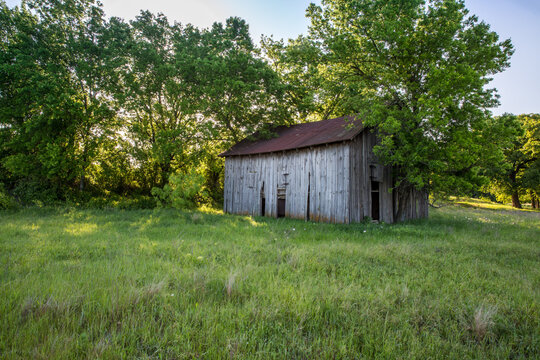 Old wood barn in the country surrounded by mesquite and oak trees in spring on the ranch