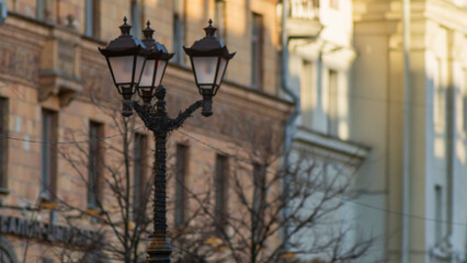 Fototapeta na wymiar Vintage lantern with empty branches in the city on building background. Beautiful streetlight in front of old building.