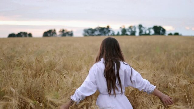 Romantic and carefree young woman in slow motion video walking on field wheat enjoying freedom and calmness on rural nature during vacations holidays. Incredible colorful sunset