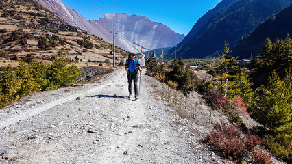 A man trekking along Annapurna Circuit in Nepal. He is enjoying the view and trek. There is a lush green Himalayan valley around him. Snow caped mountains in the back. Happiness and achievement.