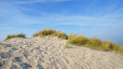 Sand dunes and beach  of Fort-Mahon-Plage. Hauts-De-France region  