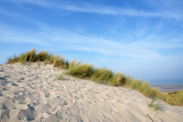 Fototapeta na wymiar Sand dunes and beach of Fort-Mahon-Plage. Hauts-De-France region 