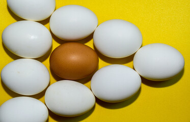 A pattern of chicken eggs on a yellow background. One brown among the whites. Top view. Close-up