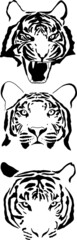 tiger head vector