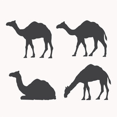 Camel silhouette black and white