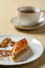 Homemade baklava with nuts and honey syrup.eastern cuisine