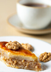 Homemade baklava with nuts and honey syrup.eastern cuisine