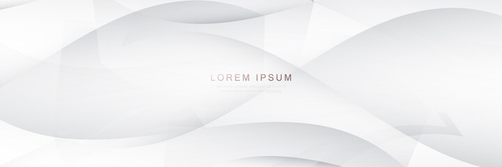 Abstract white curve flows light shape background. Website, banner and brochure background. Vector illustration