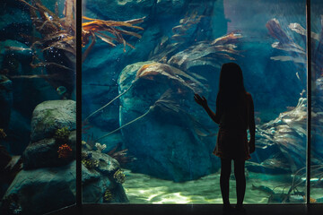 A young girl looks into an aquarium at a zoo