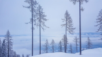 A panoramic view on fog covered Alps in Austria. The visibility is very low. Not favourable condition for skiing. There are many trees standing separately on the hills. Moody and spooky atmosphere