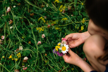 A close up of a  young girls hands while picks a small bouquet from a blanket of wildflowers