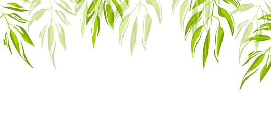 Fototapeta na wymiar Floral web banner with drawn color exotic leaves. Nature concept design. Modern floral compositions with summer branches. Vector illustration on the theme of ecology, natura, environment