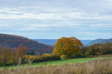 Herbst im Spessart