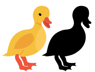 duckling flat design, isolated, vector