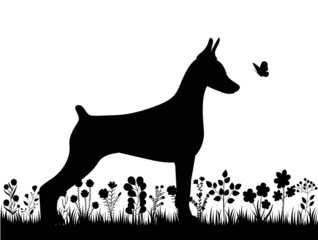 dog on the grass black silhouette isolated vector