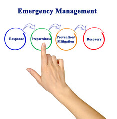 Components of Emergency Management Process