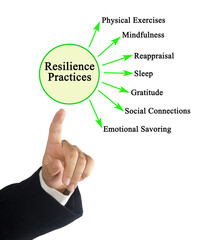 Woman presenting Seven Resilience Practices
