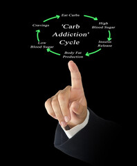 man presenting  'Carb Addiction' Cycle