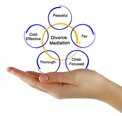 Five Components of Divorce Mediation - obrazy, fototapety, plakaty