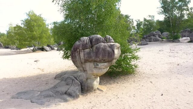 view on the bilboquet rock on the sands of the ass of the dog in Noisy sur Ecole