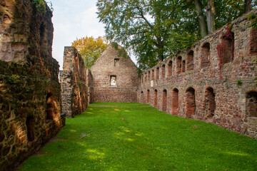 The ruins of the monastery church in Nimbschen, a former Cistercian abbey near Grimma in the Saxon...