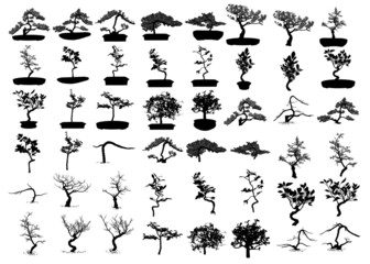 Set of Bonsai Japanese trees silhouette growing in pots and containers. Drawing from real trees. Decorative little trees in Bonsai style set, hobby. Vector. - obrazy, fototapety, plakaty